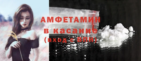 ешки Алексин