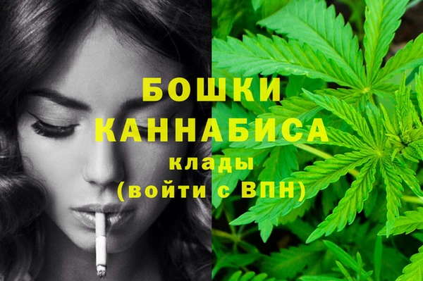 ешки Алексин