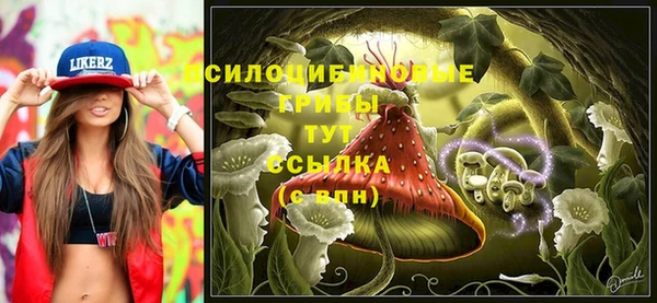 гидропоника Алексеевка