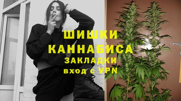 ешки Алексин
