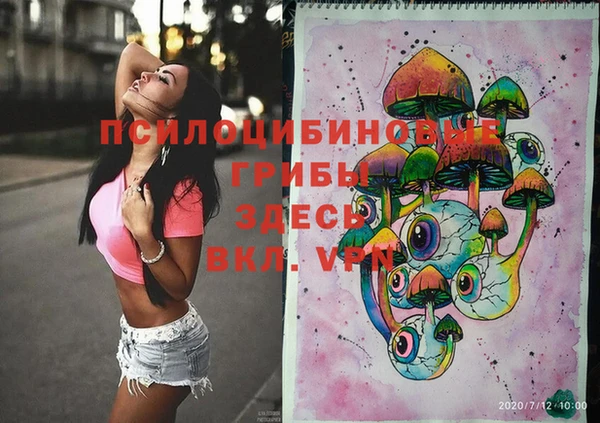 ешки Алексин