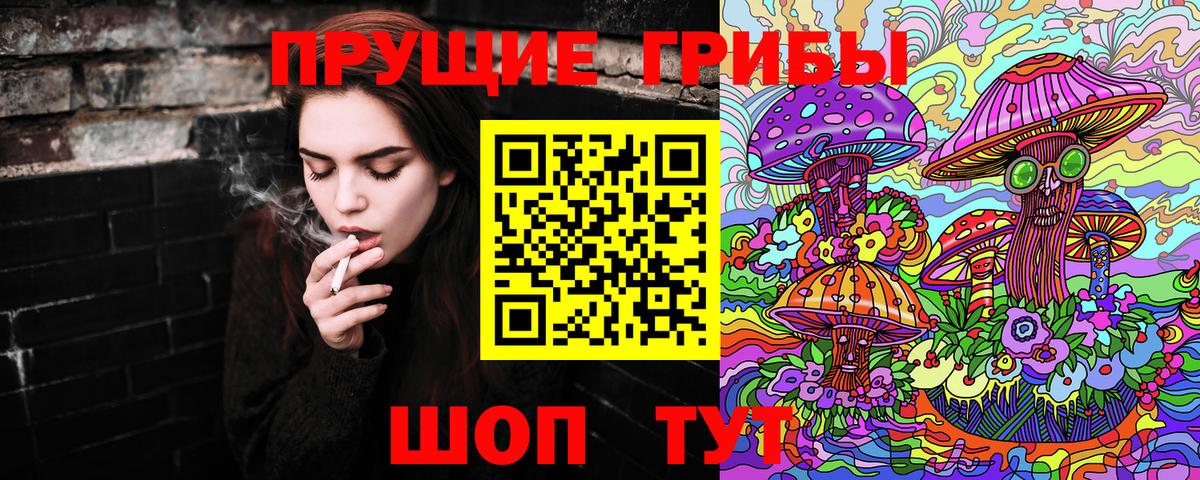 Псилоцибиновые грибы Psilocybine cubensis Иркутск